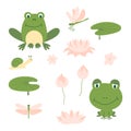 Set of cartoon cute green frog. Funny different frogs with snails, aquatic plants, lily leaf and dragonfly Royalty Free Stock Photo