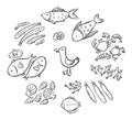 Set of cartoon doodle seafood or ocean animals like fish, shrimps and squids