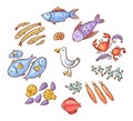 Set of cartoon doodle seafood or ocean animals like fish, shrimps and squids