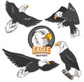 Set of cartoon eagles in different action poses Royalty Free Stock Photo