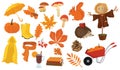 Set of cartoon elements of autumn. Collection of autumn attributes. Vector illustration for kids.