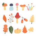 Set of cartoon elements of autumn