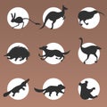 Set cartoon endangered wild australian animals tasmanian devil echidna dingo jerboa ostrich kiwi platypus koala kangaroo Royalty Free Stock Photo