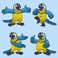 Set cartoon of funny blue and gold macaw bird Royalty Free Stock Photo