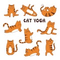 Set of cartoon funny yoga cat. Animal sport