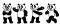 Set of cartoon giant panda character