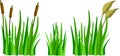 A set of cartoon grass, reeds and canes