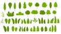 Set of cartoon trees bushes and leaves