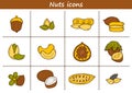 Set of cartoon hand drawn objects on nuts theme