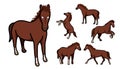 A set of cartoon horses, vector illustration Royalty Free Stock Photo