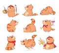 Set of Cartoon Illustration. A Cute Cats for you Design Royalty Free Stock Photo