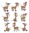 Set of Cartoon Illustration Donkeys for you Design