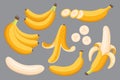 Set of cartoon illustration yellow bananas. Single, banana peel and bunches of fresh banana fruits.