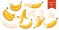 Set of cartoon illustration yellow bananas. Single, banana peel and bunches of fresh banana fruits.