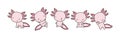 Set of Cartoon Isolated Axolotl. Set of Cute Kawaii Salamander in Funny Cartoon Style. Royalty Free Stock Photo