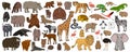 Set of cartoon isolated outline Savannah African American forest animals. Vector tiger lion rhinoceros buffalo zebra elephant Royalty Free Stock Photo