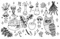 Set of Cartoon Magic Witchcraft accessories with mushrooms vectors