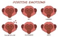 Set of cartoon monkeys with positive emotions Royalty Free Stock Photo