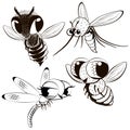 Set of cartoon monochrome flying insects, mosquito, fly, dragonfly, bee. Royalty Free Stock Photo