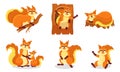 Set of cartoon orange squirrels. Vector illustration on a white background.