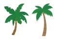 Set of cartoon palms with brown trunk and green leafs painted by flat design - vector illustration Royalty Free Stock Photo