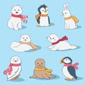 Set of cartoon polar animals with scarfs illustration. Arctic fox, polar bear, baby penguin, rabbit, walrus, seal, owl and Royalty Free Stock Photo