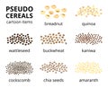 Set of cartoon pseudo-cereals.