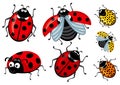 Set of cartoon red and ladybirds on a white background, Corel