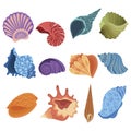 Set of cartoon seashells. A collection of sea shells with pearls. Vector illustration of mollusks. Drawing for children. Royalty Free Stock Photo