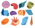 Set of cartoon seashells. A collection of sea shells with pearls. Vector illustration of mollusks. Drawing for children.