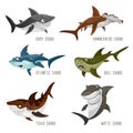 Set of cartoon sharks with different emotions isolated on white