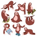 Set of cartoon sloths. Collection of cute sloths. Vector illustration of animals for children.