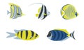 Set of cartoon style tropical fish on white background. Vector illustration