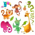 Cartoon tropical animals characters Royalty Free Stock Photo