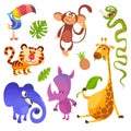 Cartoon tropical animals characters set Royalty Free Stock Photo