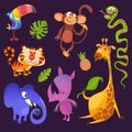 Cartoon tropical animals set illustrations Royalty Free Stock Photo