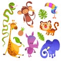 Cartoon tropical animals set Royalty Free Stock Photo