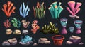 Set of cartoon underwater plants and animals. Reef sea bottom elements including plants and corals, fish, stones and Royalty Free Stock Photo