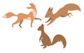 Cartoon isolated flat drawn animals