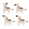 Set of cartoon zebras boho. Vector illustration