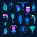 Set of cartoon zooplankton characters flat style, vector illustration