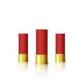 Set of cartridge for shotgun. Red realistic cartridge with reflection isolated on white. Vector Royalty Free Stock Photo