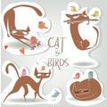 Set with cat and birds Royalty Free Stock Photo