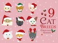 Set of 9 cat breeds with Christmas and winter themes Royalty Free Stock Photo