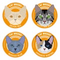 Set of cat breeds, illustration Royalty Free Stock Photo