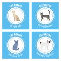 Set of cat breeds, illustration Royalty Free Stock Photo