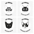 Set of cat breeds, illustration Royalty Free Stock Photo