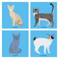Set of cat breeds, illustration Royalty Free Stock Photo