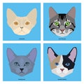 Set of cat breeds, illustration Royalty Free Stock Photo