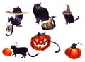 Set Of Cat Cartoon With Different Actions, Halloween